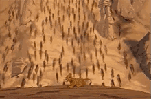 The Lion King Stampede GIFs | Tenor