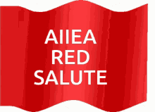 Aiiea Red Salute GIF