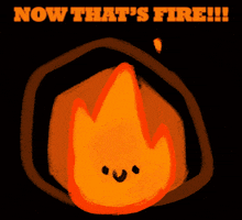 Fire That'S Fire GIF