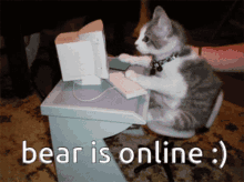 Bear Online Bear GIF - Bear Online Bear Online GIFs
