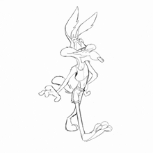 a black and white drawing of coyote from the looney tunes series