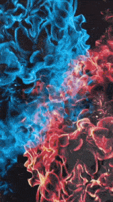 red and blue flames on a dark background