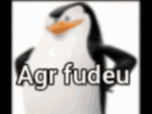 Agr Fudeu Penguin Madagascar GIF - Agr Fudeu Penguin Madagascar GIFs
