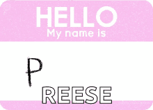 princess hello my name is princess pink princess reese