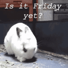 Is It Friday Yet GIF - Is It Friday Yet Friday GIFs