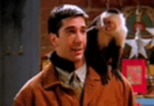 Ross And Marcel GIF - Ross And Marcel GIFs