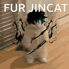 a picture of a cat with a sword and the words fur jincat