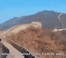 milly rock dancing great wall