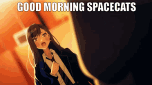 Spacecats Server Spacecats GIF - Spacecats Server Spacecats GIFs