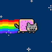 Cat Rainbow GIF - Cat Rainbow Fly GIFs