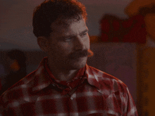 a man with a mustache wearing a plaid shirt