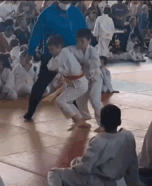 Judo Karate GIF
