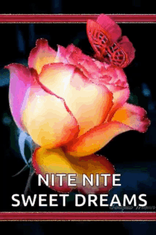 nite sparkles flowers sweet dreams good night