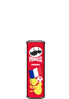 Pringles Season Sticker - Pringles Season Stickers