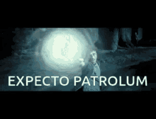Expecto Patrolum Harry Potter GIF - Expecto Patrolum Harry Potter Dementors GIFs