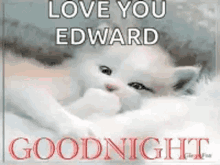 Goodnight Cat GIF