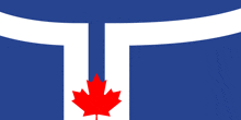 a canadian flag with a red maple leaf on it