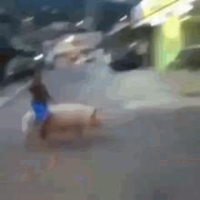 a blurry picture of a person walking down a street .