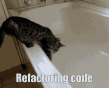 refactoring code cat bath tub fall panic