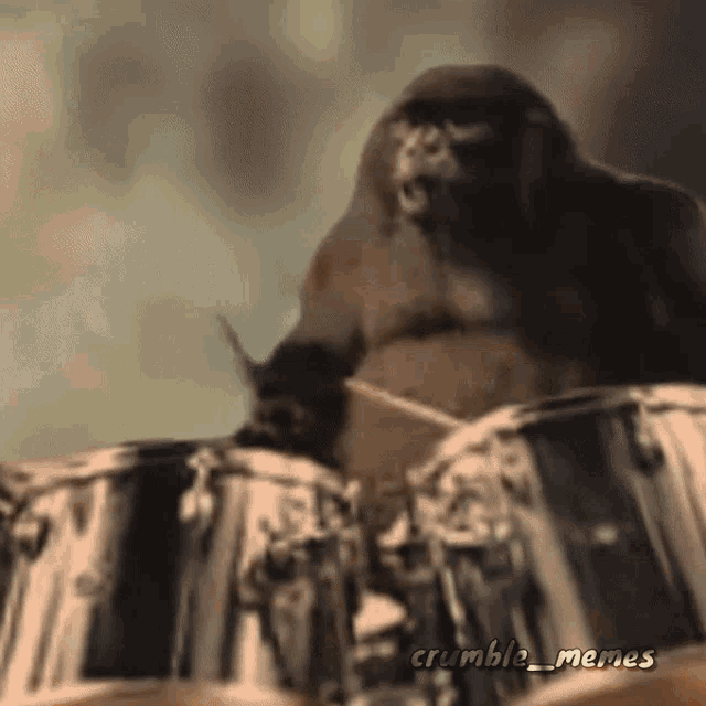 King Kong GIF - King Kong Vs - Discover & Share GIFs