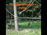 Monkey Person Above Me GIF - Monkey Person Above Me Swinging From Trees GIFs