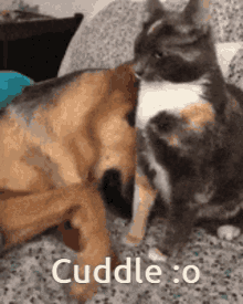 I Cuddles You Ollie And Lauren Cuddle GIF - I Cuddles You Ollie And Lauren Cuddle Ollie Cuddle GIFs