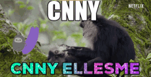 Cnny Ambuke GIF - Cnny Ambuke Galp GIFs