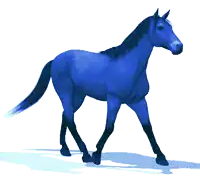 a blue horse with a black mane and tail is walking on a white background