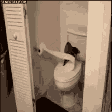 kagidi tuvalet