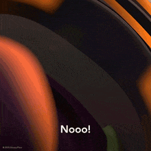 a blurred image with the words nooo on the bottom right