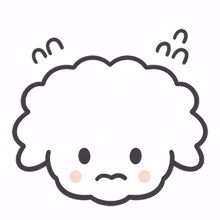 cute maltese