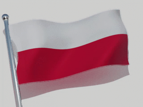 Flaga Polska GIF - Flaga Polska Poland - Descubre y comparte GIF