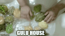 Gulu Gulu House GIF - Gulu Gulu House House GIFs
