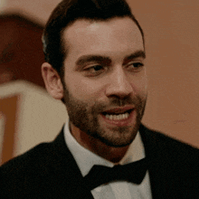 a man with a beard wearing a suit and bow tie