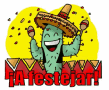 Este Cactus Está De Fiesta GIF - Fiesta Festejar Celebrar GIFs