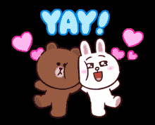 brown and cony brown cony yay line friends