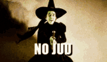 Wicked Witch Of The West Noita GIF - Wicked Witch Of The West Noita Nojuu GIFs
