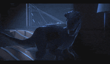 a dinosaur is standing in a dark room and looking at the camera