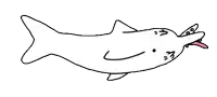 a drawing of a dolphin sticking its tongue out