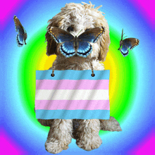 Transgender Puppy Transgender Flag GIF - Transgender Puppy Trans Transgender GIFs