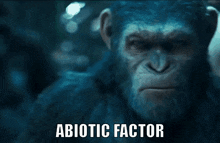 Abiotic Factor Planet Of The Apes Abiotic Factor GIF - Abiotic Factor Planet Of The Apes Abiotic Factor Caesar Abiotic Factor GIFs