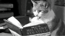 a cat is reading a book on military strategy .