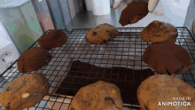 a bunch of cookies on a cooling rack with the words made in animotica on the bottom