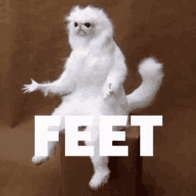Feet Jc GIF - Feet Jc Jc Feet GIFs