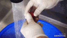 a person wearing gloves is washing a tomato under a sink