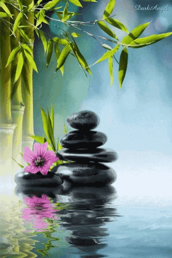 Zen Rocks GIF - Zen Rocks Flowers - Discover & Share GIFs