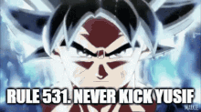 Rule 531 GIF - Rule 531 Goku GIFs