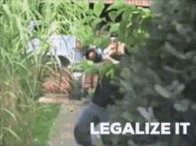Legalizeit Makeitlegal GIF - Legalizeit Makeitlegal Weed GIFs