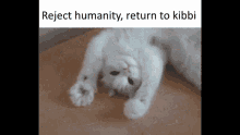 reject humanity become kibbi cat cat mitosis uwu