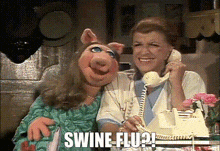 Swine Flu Miss Piggy GIF - Swine Flu Miss Piggy Muppets GIFs